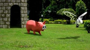 The Craziest Cat Battle Ever