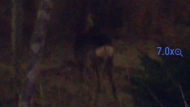 Pulsar Digex C50 - Roe Deer 20 meters - Darkness + IR850 смотреть онлайн