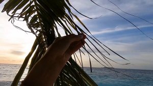 Мальдивы. Fihalhohi Island Resort. Начинаем поиски черепахи