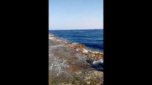 ОТЛИВЫ И ПРИЛИВЫ НА КРАСНОМ МОРЕ. Шарм-эль-Шейх. НАБК.