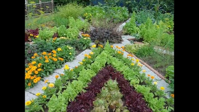 Грядки в огороде Идеи ограждения для грядки смотреть онлайн