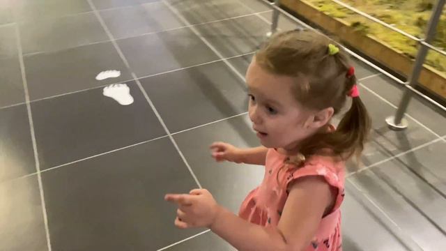 Алиса в Музее природы Березинского Заповедника / Alisa love in the museum of nature смотреть онлайн