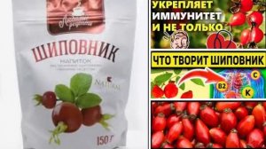 ШИПОВНИК и Полезные свойства шиповника.
