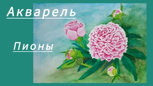 Пионы акварелью. Учусь рисовать.