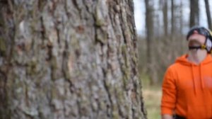 Снаряжение Petzl для работы на деревьях