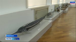 Вести Дагестан 28.08.24 г. 14.30