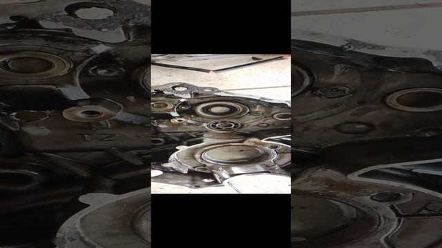 Виды картеров мопеда альфа