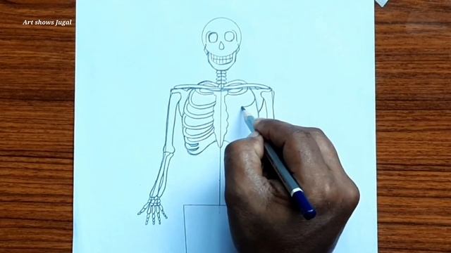 How to draw human skeleton | Human anatomy drawing | Skeleton drawing very easy смотреть онлайн