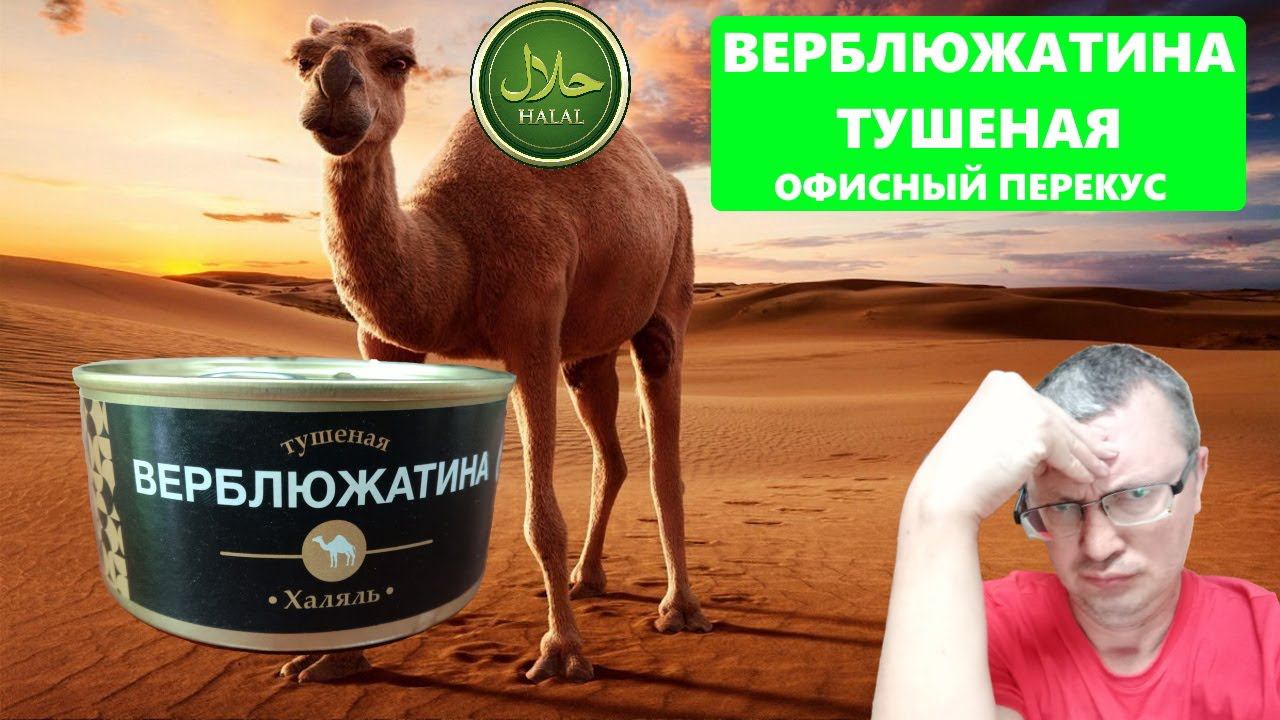 Верблюжатина консервированная - обзор, отзыв. #еда #халяль #халяльеда