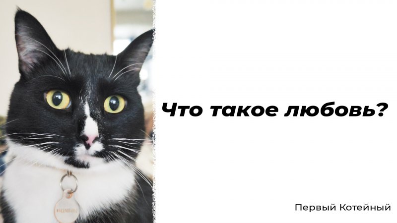 Что такое любовь? ?