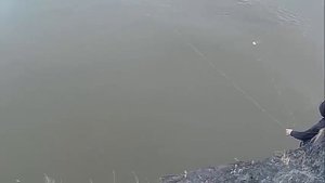Хапуга хлопок, техника заброса хапужки с берега, Рыбалка по открытой воде