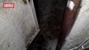 ✅✌???Будни автомеханика. Я встрял.