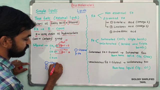 Biomolecules | Lipids | Part 1