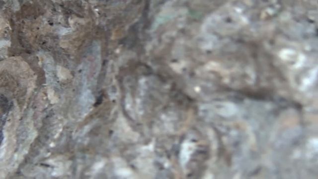 Осиное гнездо 2 смотреть онлайн