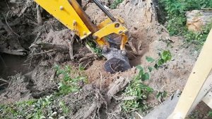 КОРЧУЕМ ПНИ И ДЕЛАЕМ ПЛАНИРОВКУ НА УЧАСТКЕ В ЛЕСУ.