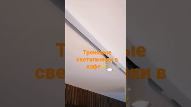 Установка трековые светильников Elektrostandart на потолок в кафе смотреть онлайн