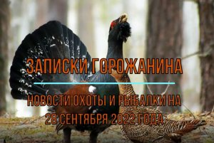 Охота. Рыбалка. Новости на 28 сентября 2022 года