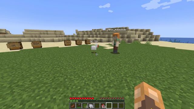 J'ai troll un Noob avec des Items Méga wtf sur Minecraft.. смотреть онлайн