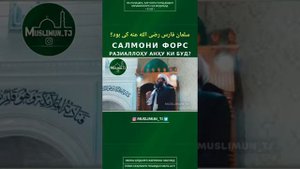 Салмони Форс ки Буд?