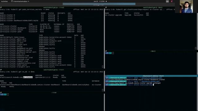 Version Upgrade of Opensearch Cluster using Elasticsearch OpsRequest