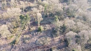 The Ashington Wood - Aerial Photography