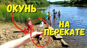 Ловим РЕЧНОГО ОКУНЯ на перекате / Семейная рыбалка в деревне #31