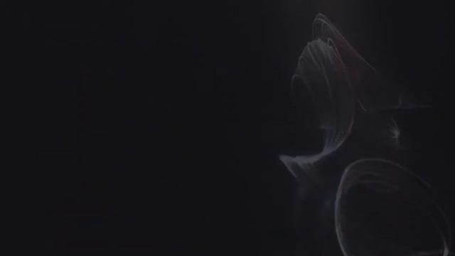 СВЯЗКА АККАУНТОВ НА PS5 | ОБЩИЙ ДОСТУП К КОНСОЛИ И АВТОНОМНАЯ ИГРА | 108 seconds. смотреть онлайн