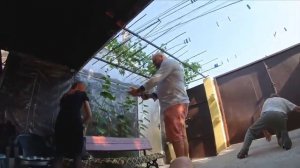 ОТРЫВОК ИЗ ТЕЛЕГРАММА Манифест Manifest Сhannel #ЖЕНАУКРАЛАУСВОЕГОМУЖАДЕНЬГИ