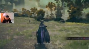 Кто просит помощи Elden Ring