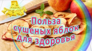 Польза сушеных яблок для здоровья