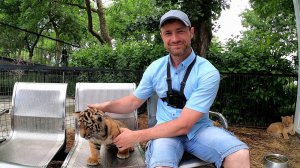 Парк львов "Тайган", Белогорск, Крым 2019