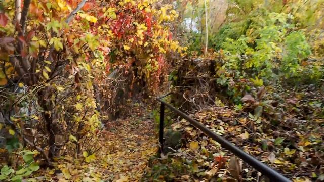 Прогулка по старому городу, Воронеж ул  Малая Стрелецкая и Гора Металистов