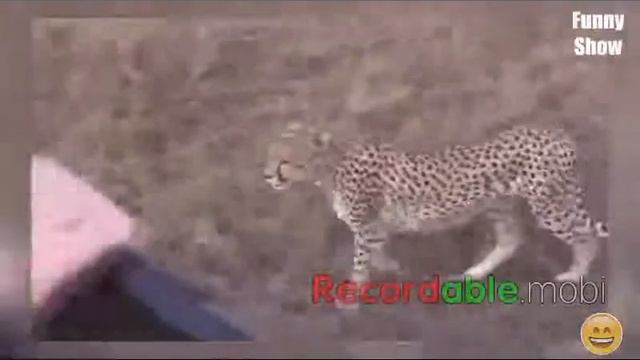 Тест на психику-кто засмеётся , тот псих смотреть онлайн