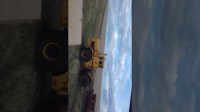 Посев овса по стерне. смотреть онлайн