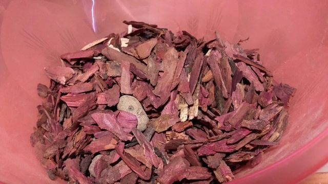 орхидеи-"ГИГАНТЫ"? посадка на микро-блоки нано-чудиков ? смотреть онлайн