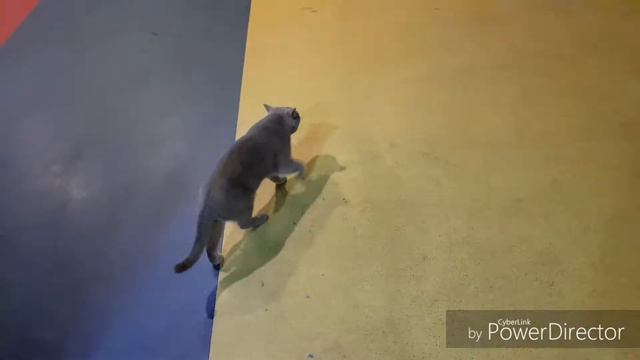 Не ходите на контактные зоопарки смотреть онлайн