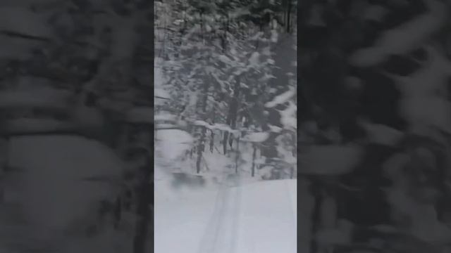 катаюсь на снегоходе, на снегоходе в тайге, снегоход буран, смотреть онлайн