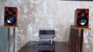 SONY  SS-CGPZ7  (3)