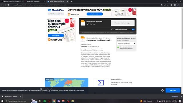 Comment TÉLÉCHARGER un SKIN CUSTOM sur League Of Legends ? смотреть онлайн