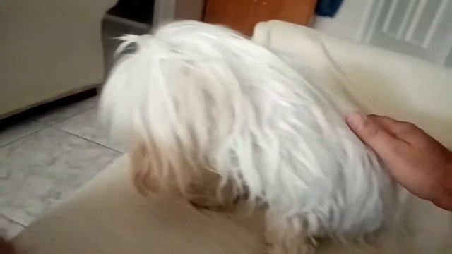 τριήμερο Suzuki Jimny (Δροσιστικά ) смотреть онлайн