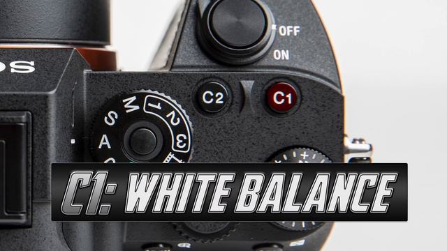 Sony A7iii / A7Riii Tutorial in 6 Minutes (With Close ups)