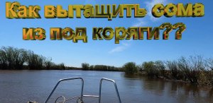 Как вытащить сома из под коряги.mp4