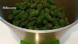 ВАРЕНЬЕ из СОСНОВЫХ ШИШЕК! Шишки сосны способны активировать защитные силы организма. Вкусно!.mp4