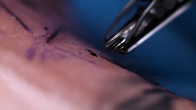 Tattooing Close Up in 4K Slow Motion смотреть онлайн