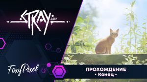 Stray #6 Побег. Финал