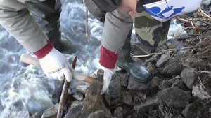 НИЖЕ ДНА ДРЕВНЕГО МОРЯ !Поиск окаменелостей.