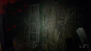 resident evil part 9 (full game)