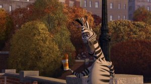 Я здесь всё неделю, а точнее буду здесь всё своё жизнь   - Мадагаскар для ВП