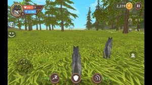 Игра симулятор волка смотреть всем