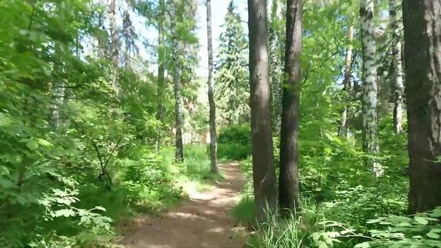 Академгородок и Обское море. Новосибирск. По Транссибу ? .Trans-Siberian